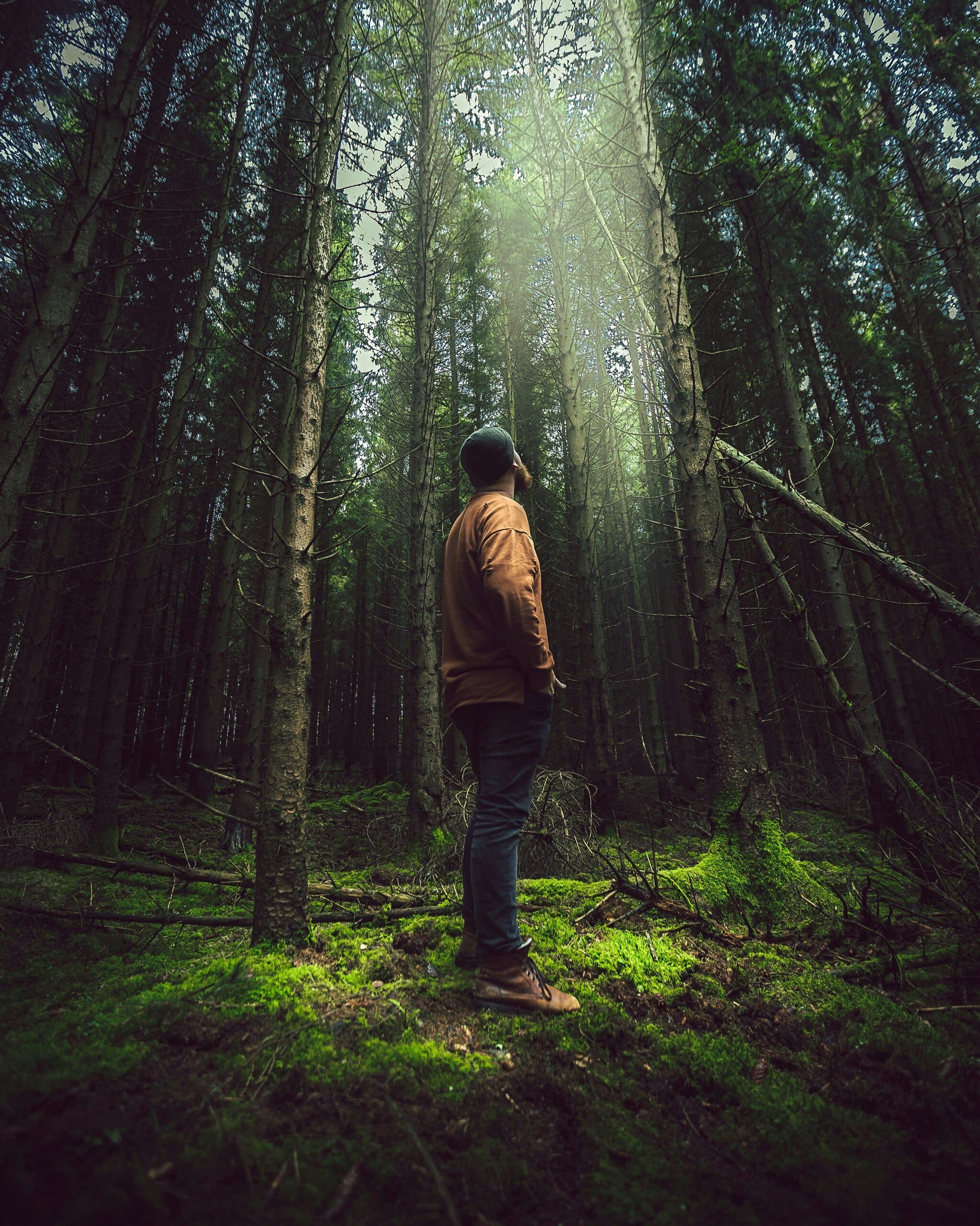 A man walking through the forest in Northeast BC